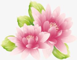 柔美牡丹七夕素材