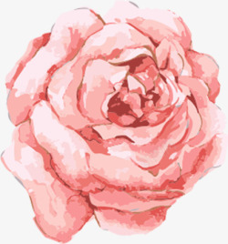 水彩手绘合成粉红色的玫瑰花素材