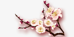 角落的梅花素材