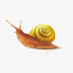 金色背壳的蜗牛矢量图素材