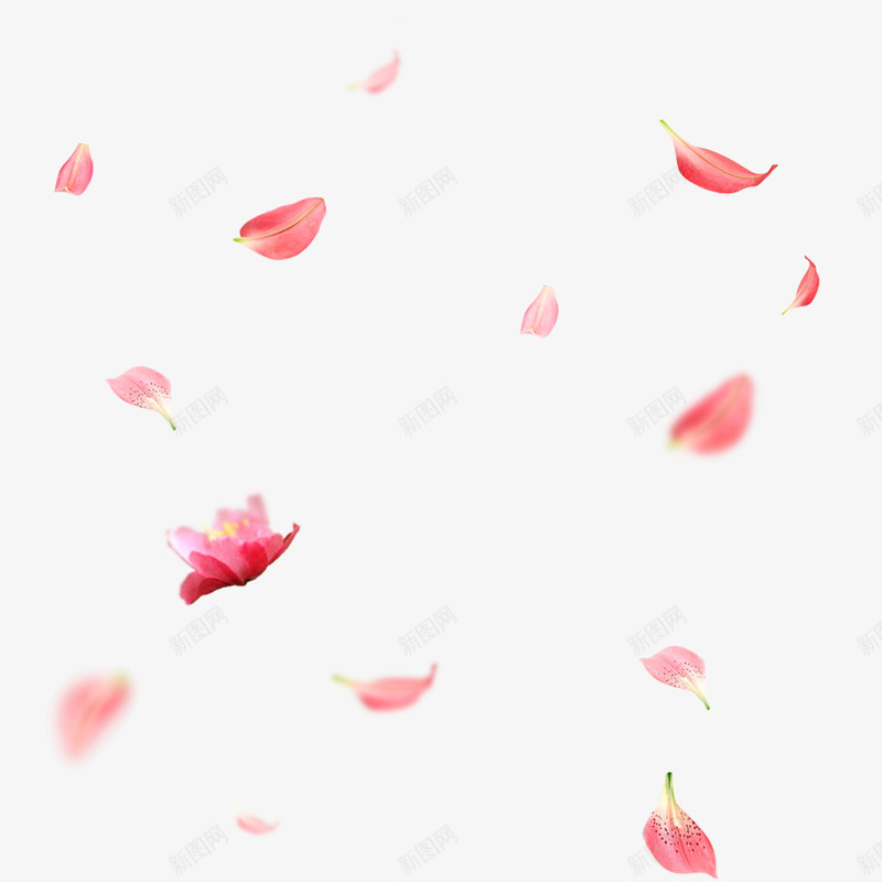散落唯美花瓣元素png免抠素材_88icon https://88icon.com 一地花瓣 唯美 散落 粉红色 花瓣设计 飘落 高清
