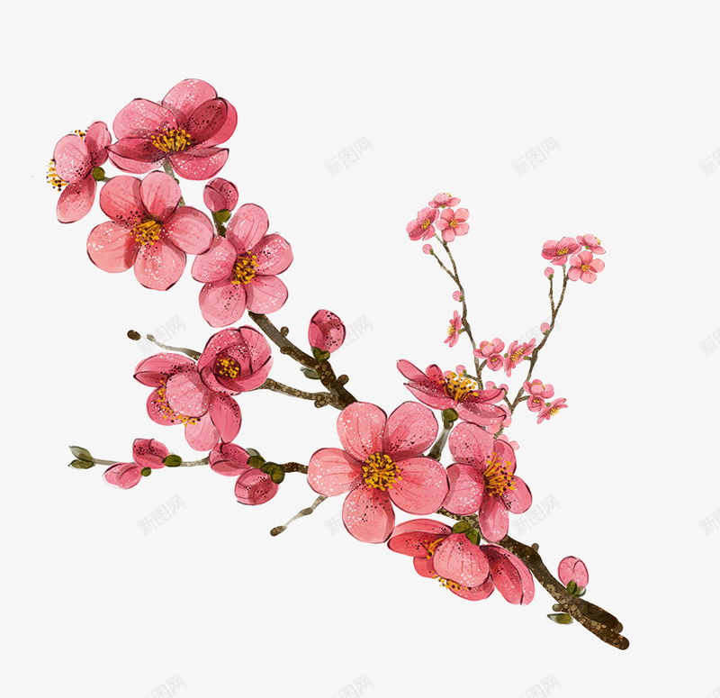 手绘梅花装饰psd免抠素材_88icon https://88icon.com 小清新 手绘叶子 手绘画 手绘花朵 手绘花束 手绘花草 梅花装饰 田园风 花朵装饰