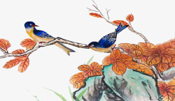 彩绘水墨艺术鸟类插画素材
