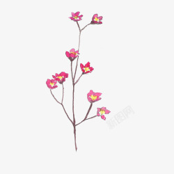 蜡笔小花水彩卡通可爱丙烯蜡笔画高清图片