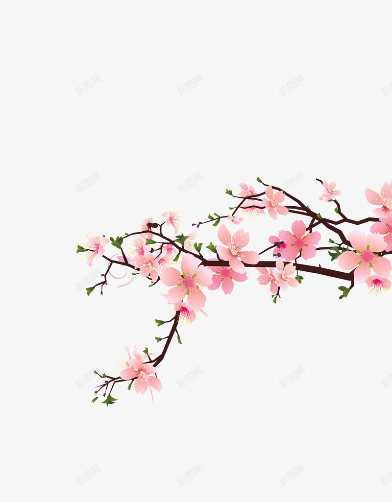 桃花边角装饰psd免抠素材_88icon https://88icon.com 桃花 梅花 装饰 边角