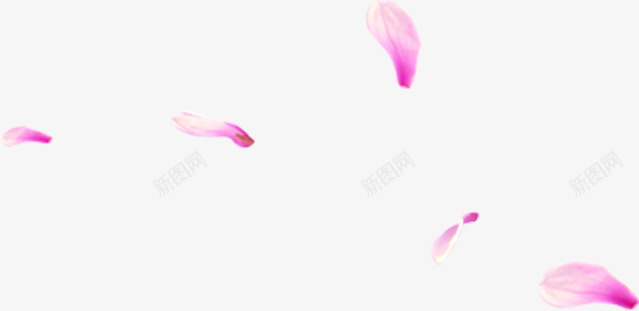 粉红色创意随风飞扬的花瓣png免抠素材_88icon https://88icon.com 创意 粉红色 花瓣 飞扬