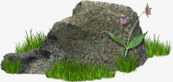 石头草长着草的石头高清图片