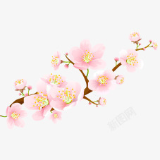 手绘粉色梅花透明素材