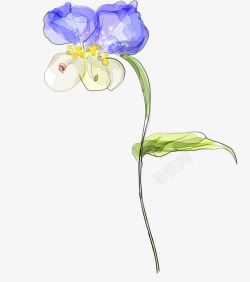 彩绘抽象花朵蓝色花朵素材