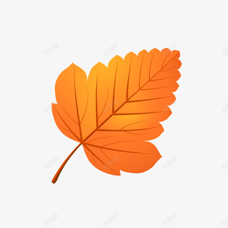 秋季装饰落叶矢量图ai免抠素材_88icon https://88icon.com 枫叶 秋季元素 落叶 装饰 矢量图