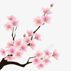 粉红梅花矢量图素材