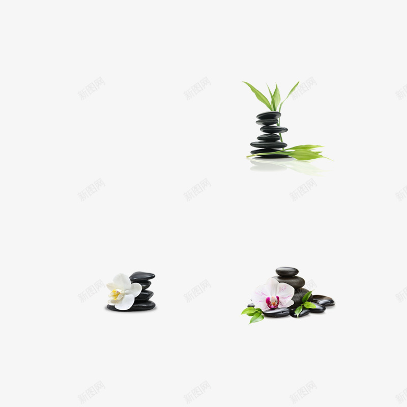 黑色石头植物png免抠素材_88icon https://88icon.com 植物 石头 黑色