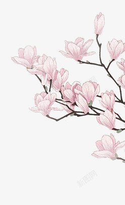 手绘合成粉红色的桃花树素材
