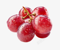 红色带水珠的新鲜葡萄实物素材