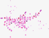 粉色发散花瓣七夕情人节海报背景素材
