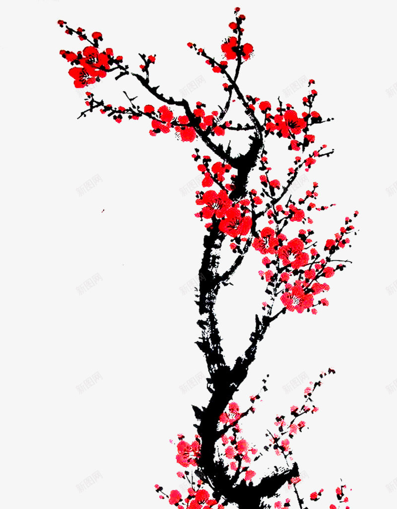 绘画梅花插画png免抠素材_88icon https://88icon.com 插画 梅花 绘画 设计