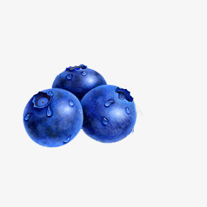 新鲜水果蓝莓png免抠素材_88icon https://88icon.com 新鲜 水果 水珠 蓝莓