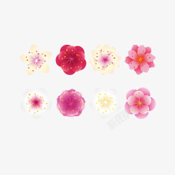 腊梅花图卡通彩色腊梅花朵矢量图高清图片