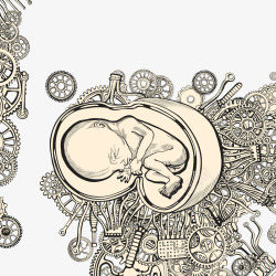 装饰科技抽象幻想机械胎儿素材