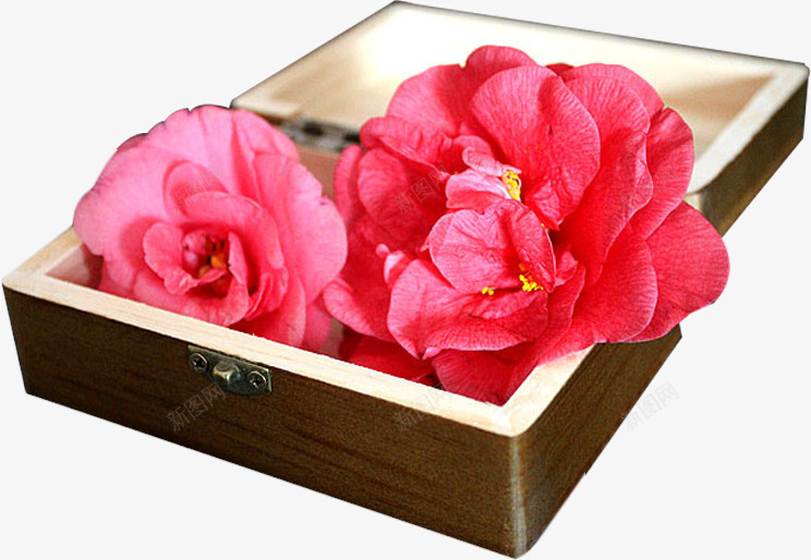 粉红色花朵盒子png免抠素材_88icon https://88icon.com 盒子 粉红色 花朵
