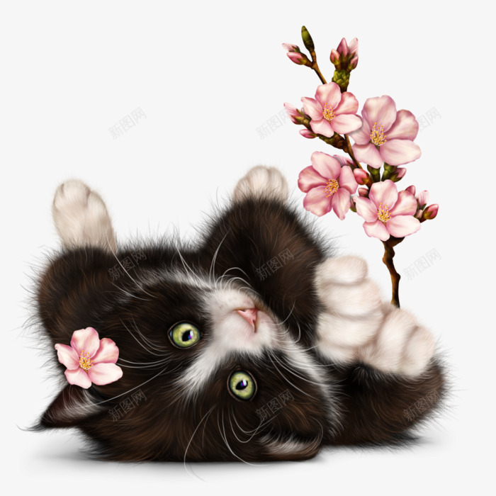 拿着梅花枝干的小猫咪png免抠素材_88icon https://88icon.com 动物 可爱的 小猫咪 梅花枝干 玩耍 简图 调皮的