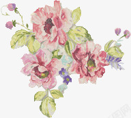 彩绘牡丹花粉红花朵花丛素材