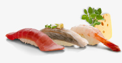海鲜三文鱼素材