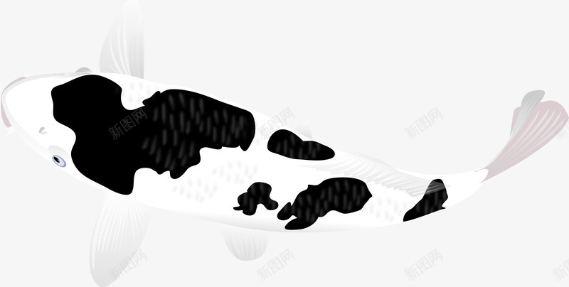 黑白色鲤鱼图png免抠素材_88icon https://88icon.com 创意 卡通 可爱 手绘 日本锦鲤 海洋 海洋生物 海鲜 矢量动物 立体 锦鲤 鱼 鲤鱼
