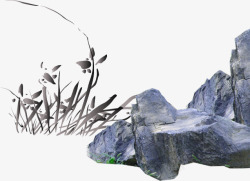 兰花与石头素材