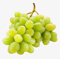 水珠葡萄绿色带水珠的葡萄实物高清图片
