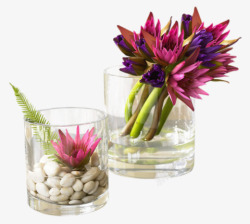 养花透明玻璃杯子素材