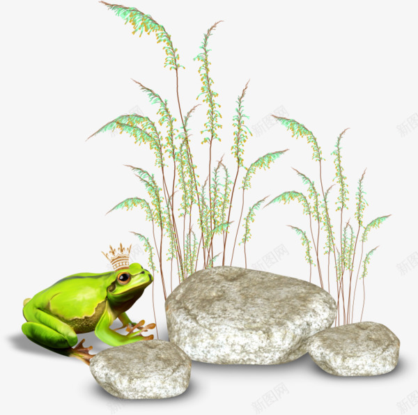 石头青蛙png免抠素材_88icon https://88icon.com 小草 石头 青蛙 青蛙王子