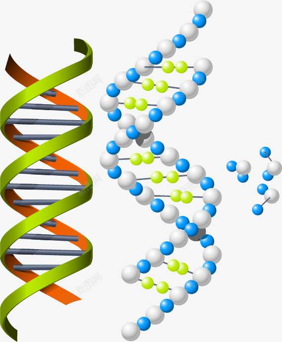 生物化学主题矢量图eps免抠素材_88icon https://88icon.com 分子 化学 教育 生化医疗 生物 生物化学 矢量图 结构