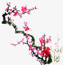 手绘粉色梅花树枝装饰素材