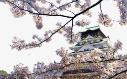 日本大阪城市风景素材