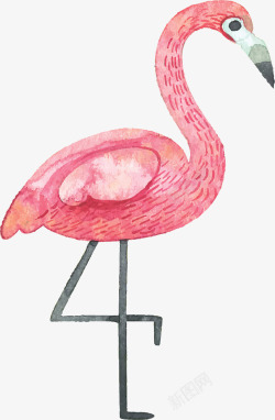 粉红水彩手绘火烈鸟矢量图素材