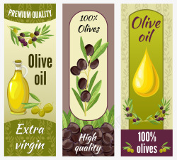 矢量橄榄油标签橄榄油广告背景矢量图高清图片