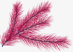 红色松树树叶素材