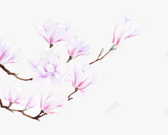 淡粉色梅花psd免抠素材_88icon https://88icon.com 古风素材 梅花 素材 花朵