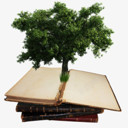 创意书本上的树木素材