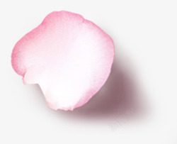粉红色花瓣摄影素材
