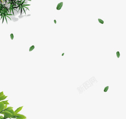 绿色树枝落叶素材