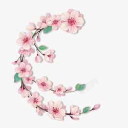 开放的梅花弯曲开放的粉色梅花高清图片