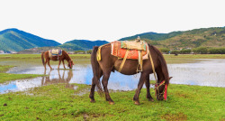 香格里拉景点香格里拉风景高清图片