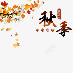 秋季枫叶文案排版素材