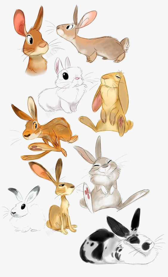 手绘兔子合集png免抠素材_88icon https://88icon.com 兔子插画 卡通兔子 垂耳兔 奔跑的兔子