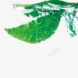 绿色水珠叶子素材