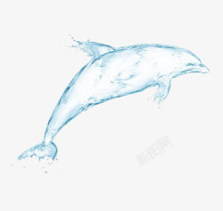 素描鲸鱼白色鲸鱼高清图片