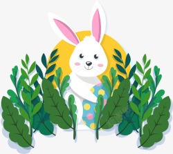 抱着彩蛋复活节草丛里的兔子高清图片
