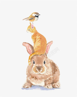 手绘水彩小鸟猫咪兔子叠罗汉素材